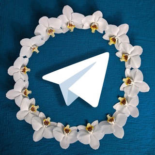 Hawaii Telegram