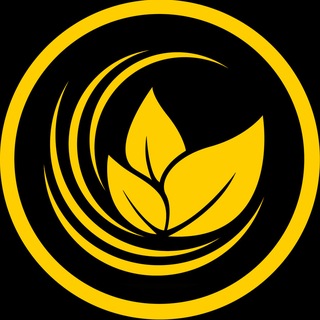 Aron Groups