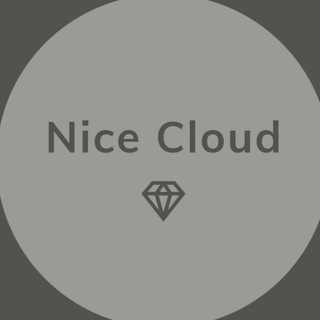 Nice 网络加速
