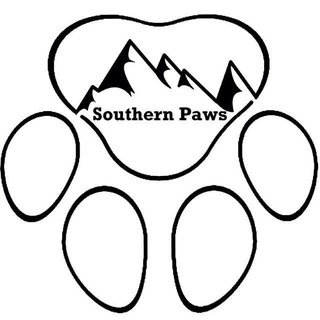 Southern Paws News
