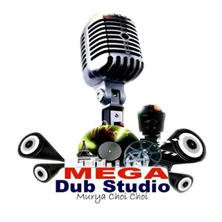 MEGA DUB STUDIO