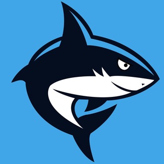 Shark Shop | Личный VPN