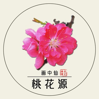 桃花源/油管充值、礼品卡代充、游戏代购、谷歌充值/vpn/软件/短信
