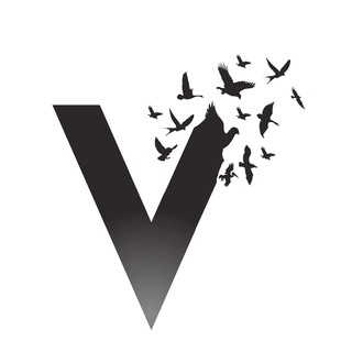 v4freedom