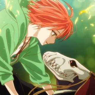 The Ancient Magus' Bride Mahoutsukai no Yome Hindi Dubbed | The Ancient Magus' Bride Hindi Dubbed