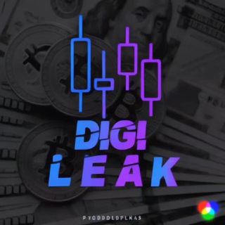 DigiLeak
