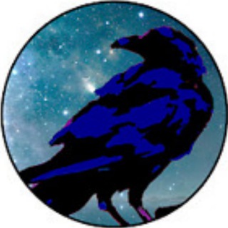 Tarot By Janine