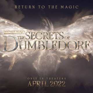 FANTASTIC BEASTS MOVIE