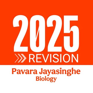 2025 Revision Main Channel