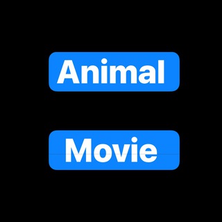 Animal MOVIE