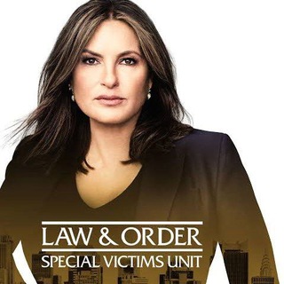 Law & Order: Special Victims Unit SVU SERIES