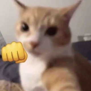 Catfight