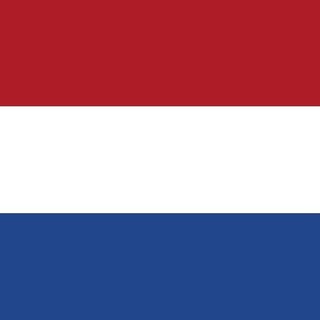 Overzicht Nederlandse Groepen