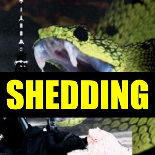 SHEDDING⚠️TOXIC SPIKES⚠️IMPFGERUCH⚠️5G