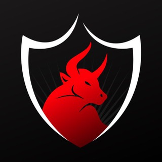 Booming Bulls Academy ✔