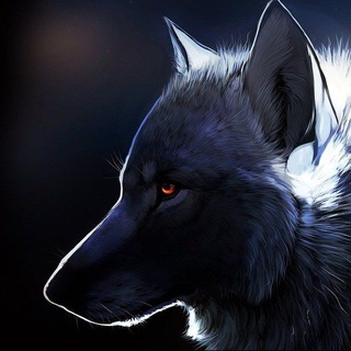 Wolf Recon Tool