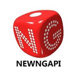 NG接口-Newngapi官方支撑频道
