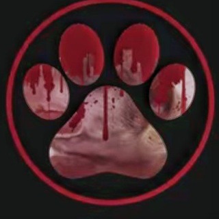 Cane insanguinato "videos $$$"