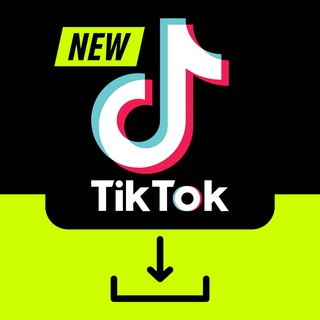 TikTok Free Downloader