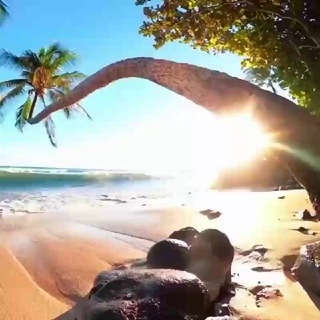 Paradise