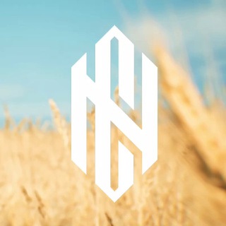 CYBERNATION.TEAM | THREEDAYZ