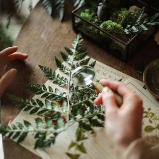 ✨Полиаморные Знакомства магов, язычников и ведьм ✨