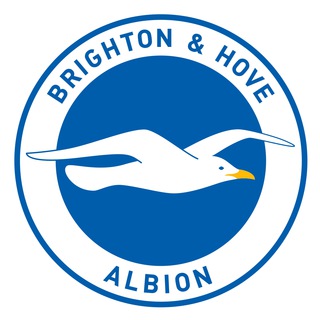 Brighton & Hove Albion F.C.
