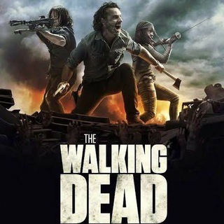 The Walking Dead Hindi (Season 1-11)
