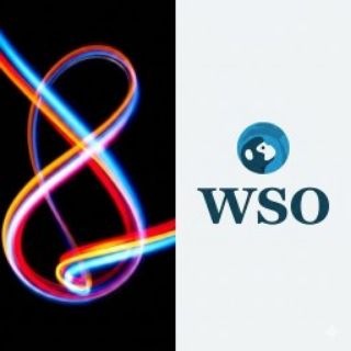 WSO Courses
