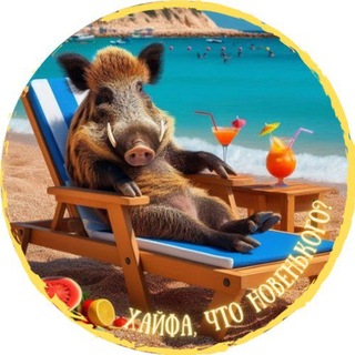 Хайфа, что новенького?