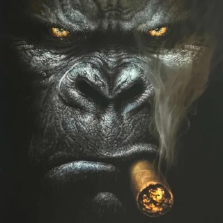 Gorilla C2