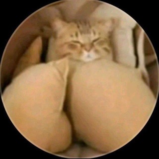 B0KEP VIDE0S (KIRIM PESAN)