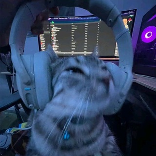 easysinger live 💻 🎧| TikTok maker
