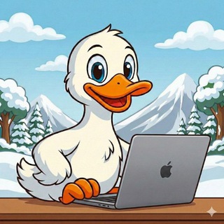 VPN DUCKS