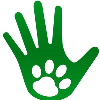Реутов_Dogs