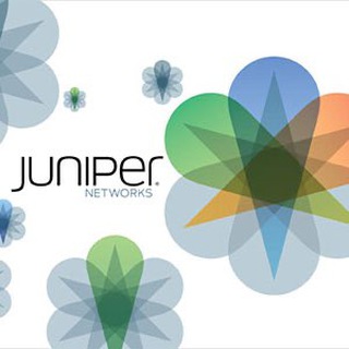 juniper_collection