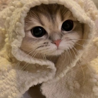 нотмалваре чат)️