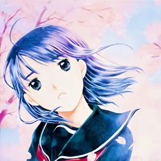 Koi kaze