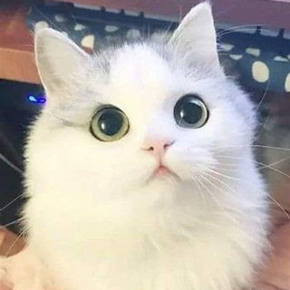 senhoser botnet