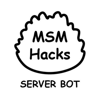 MSM Hacks Server Bot