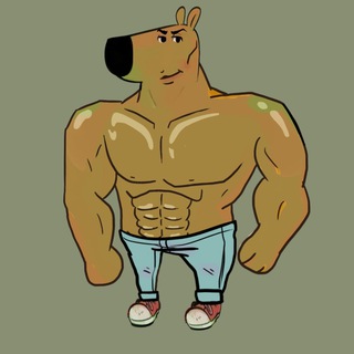 just a CHAD guy