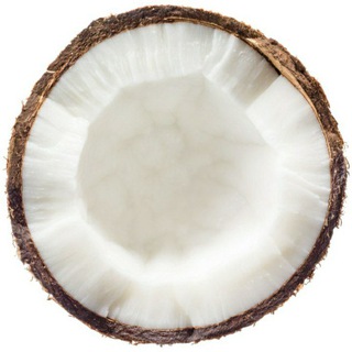 𝕮𝖔𝖈𝖈𝖔 𝖙𝖍𝖊 𝖕𝖑𝖚𝖌🥥 [SCAM]