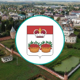 Город Юрьев-Польский. Местное самоуправление.