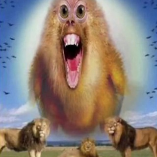 Ape Chick Games