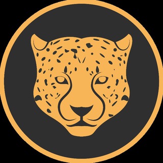 KITTY KAT COMMUNITY