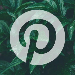 PinterestTelegram