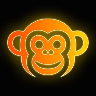 🙈 VPN Monkey Village