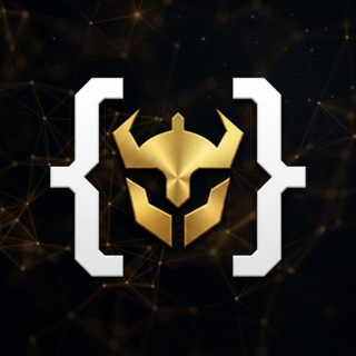 Programador Viking