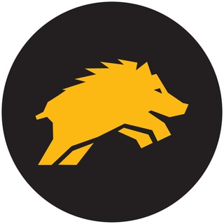 Warthog Network