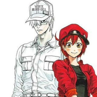 Cells at Work! : Hataraku Saibou!